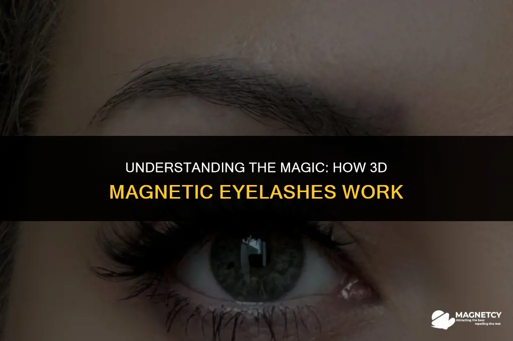how do 3d magnetic eyelashes work