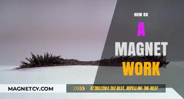 Unlocking the Mysteries: How Magnets Work and Their Everyday Applications