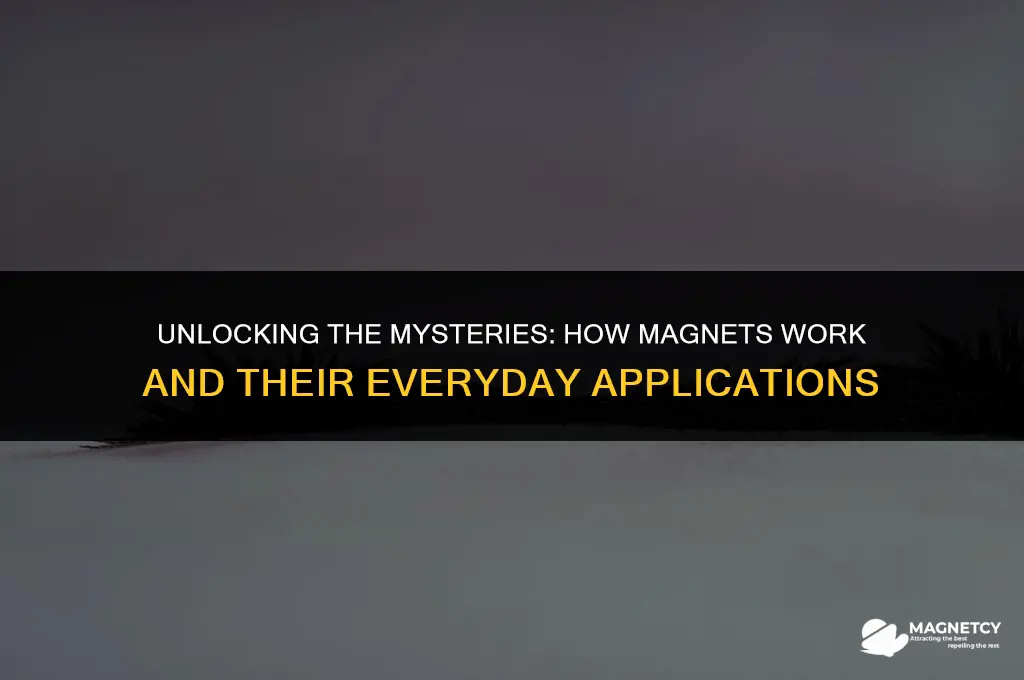 how do a magnet work
