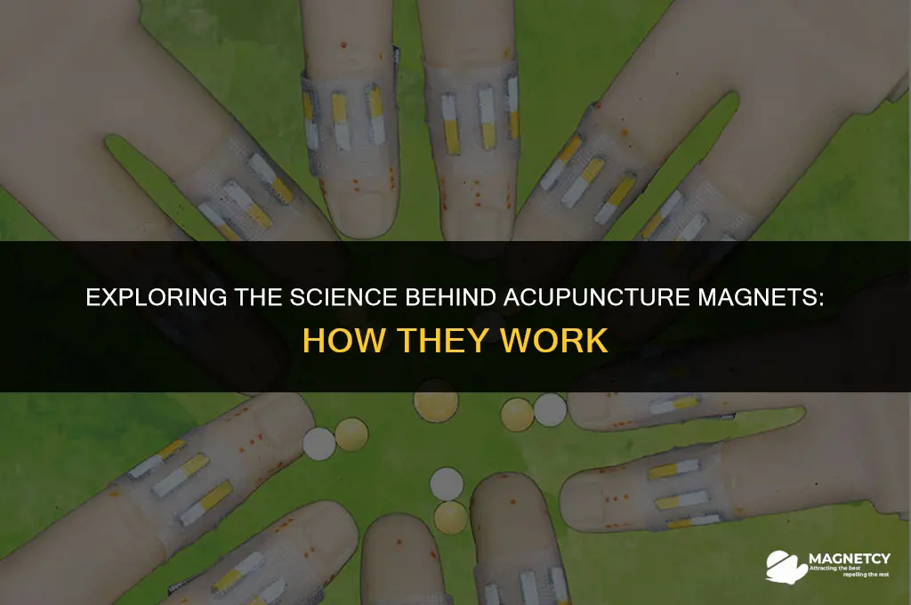 how do acupuncture magnets work