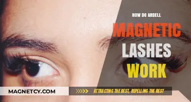 Understanding Ardell Magnetic Lashes: A Comprehensive Guide