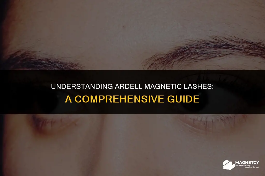 how do ardell magnetic lashes work