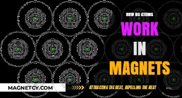 Exploring the Atomic Foundations of Magnetism: A Deep Dive