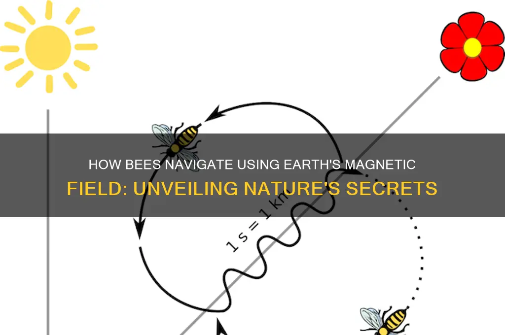 how do bees use earth