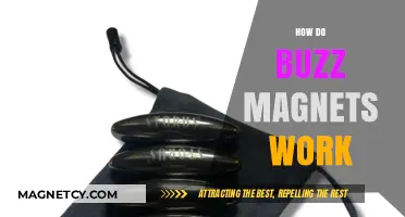 Unveiling the Science Behind Buzz Magnets: How They Work