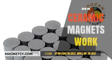 Exploring the Science Behind Ceramic Magnets: How They Work