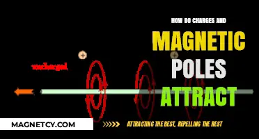 Charges and Magnetic Poles: Unraveling the Forces of Attraction