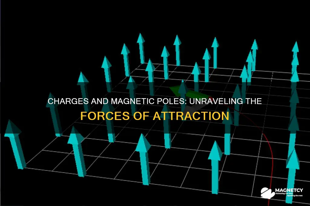 how do charges and magnetic poles attract