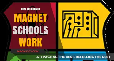 Exploring the Mechanics of Chicago's Magnet Schools: A Comprehensive Guide