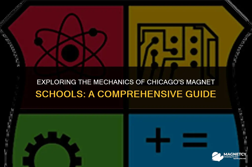 how do chicago magnet schools work