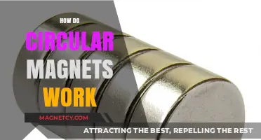Unveiling the Mysteries: How Circular Magnets Work