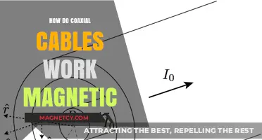 Exploring the Magnetic Mysteries of Coaxial Cables