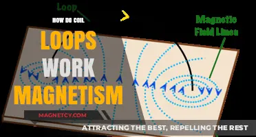 Unveiling the Mysteries of Coil Loops and Magnetism