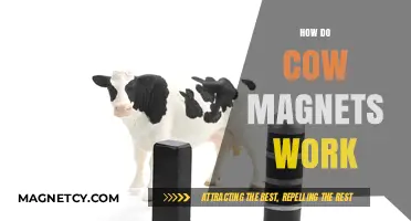 Unraveling the Mystery: How Cow Magnets Work and Why They're Used