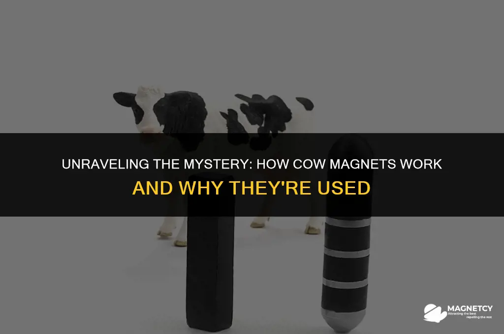 how do cow magnets work