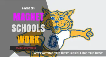 Exploring the Mechanics of CPS Magnet Schools: A Comprehensive Guide