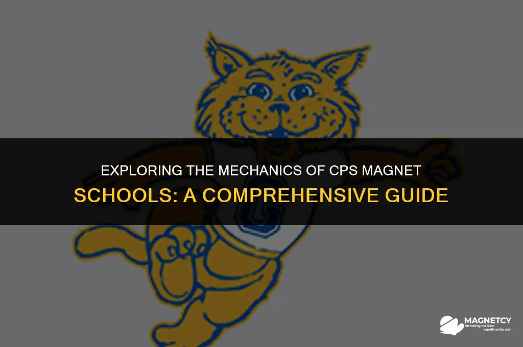 how do cps magnet schools work