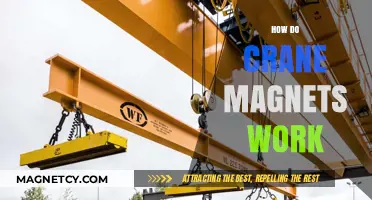 Exploring the Science Behind Crane Magnets: A Comprehensive Guide