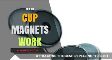 Unlocking the Mystery: How Cup Magnets Work and Why They're Useful