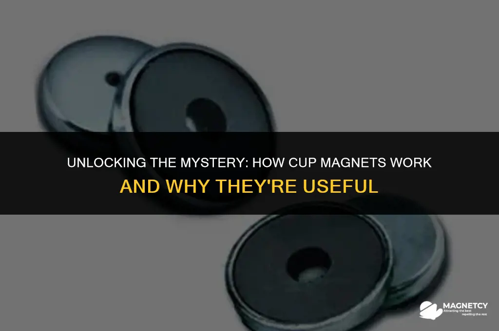 how do cup magnets work