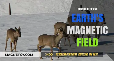 Deer's Magnetic Sense: Navigating Earth's Field for Survival and Migration