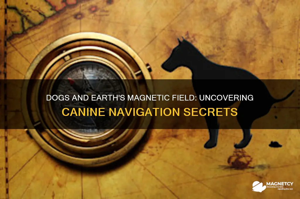how do dogs use earth