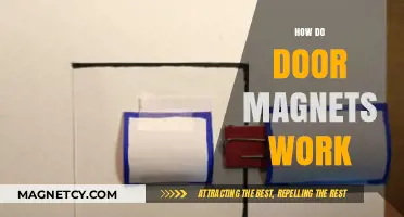 Exploring the Science Behind Door Magnets: A Comprehensive Guide