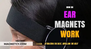 Exploring the Science Behind Ear Magnets: How They Work