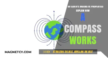 Unlocking Navigation: Earth's Magnetic Field and the Compass