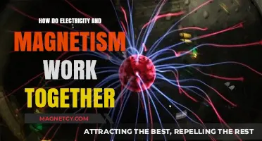 Exploring the Dynamic Duo: Electricity and Magnetism in Harmony