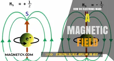 Unveiling the Mystery: How Electrons Forge Magnetic Fields