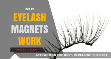 Unveiling the Secret: How Eyelash Magnets Enhance Your Look