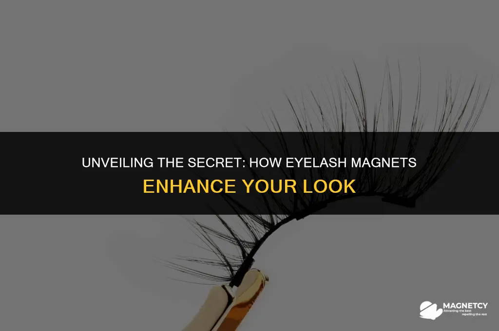 how do eyelash magnets work