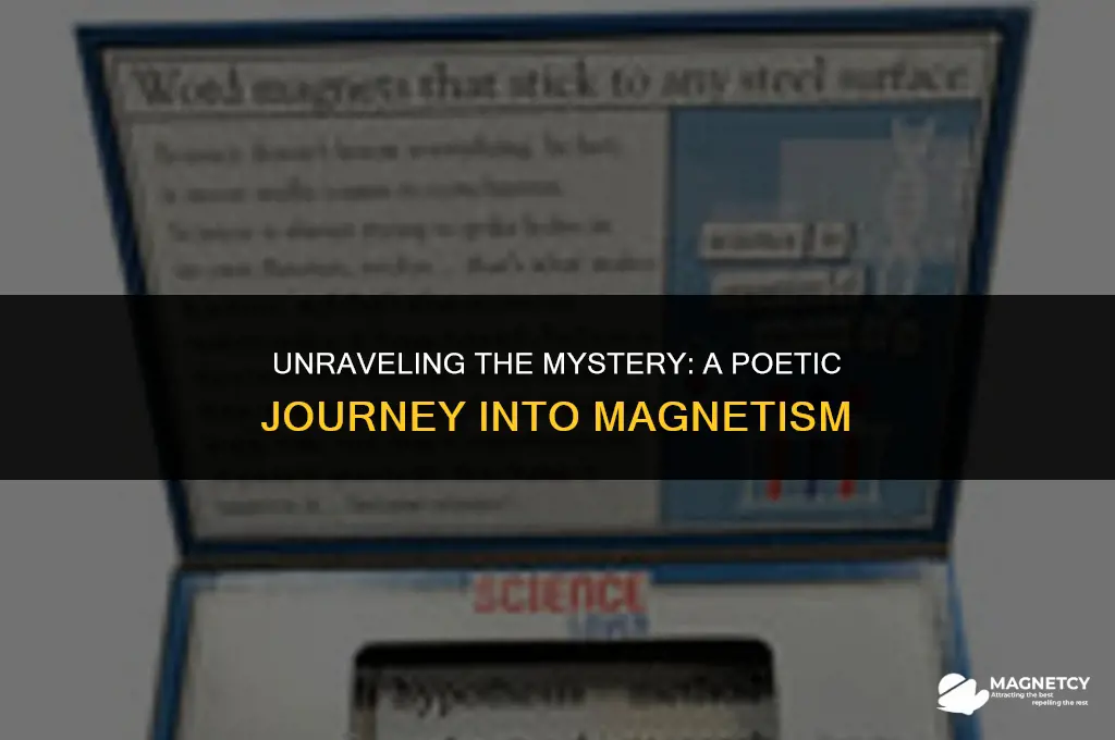 how do fricking magnets work poem