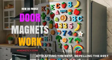 Unlocking the Mystery: How Fridge Door Magnets Work