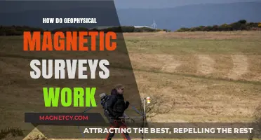 Unlocking Earth's Secrets: A Guide to Geophysical Magnetic Surveys