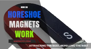 Unveiling the Science Behind Horseshoe Magnets: A Comprehensive Guide
