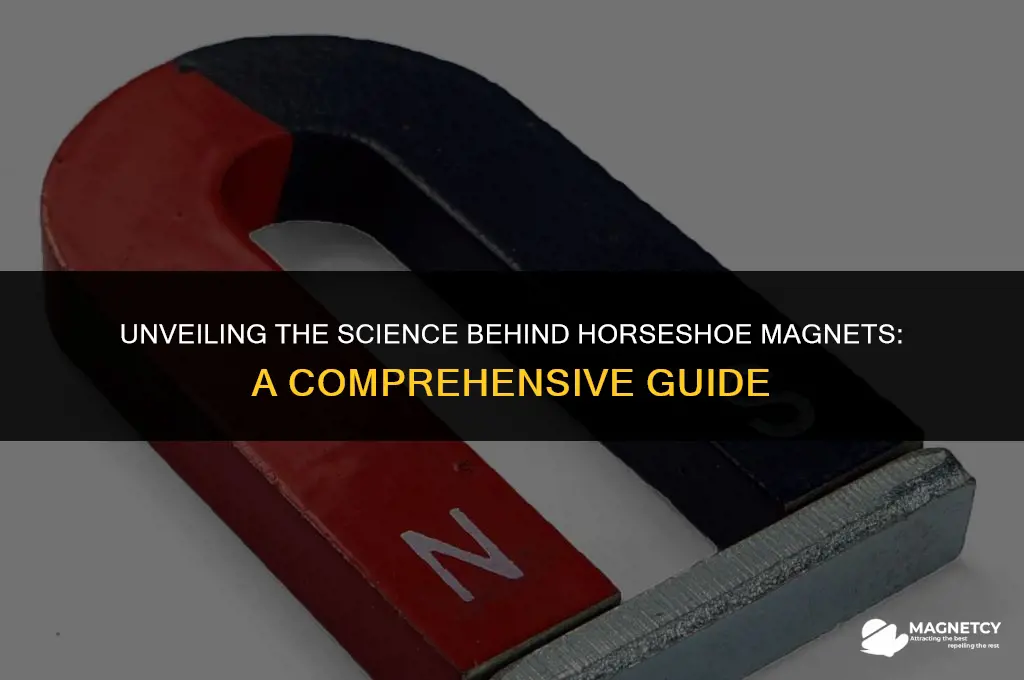 how do horeshoe magnets work
