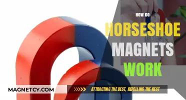Unveiling the Science Behind Horseshoe Magnets: A Comprehensive Guide