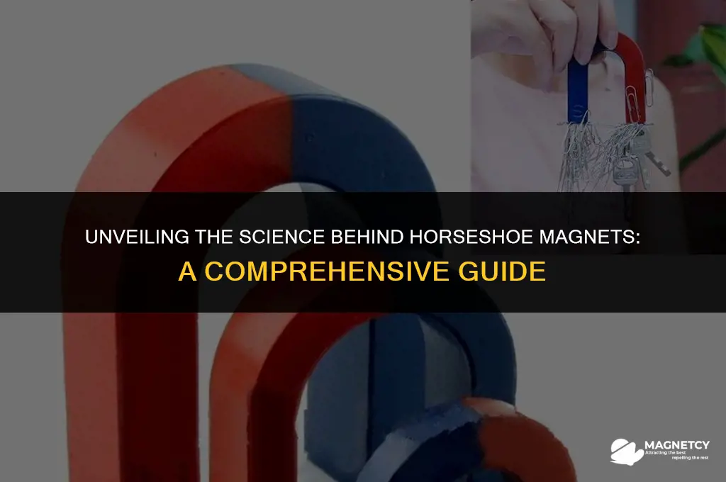 how do horseshoe magnets work