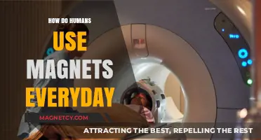 Magnets in Daily Life: Unseen Forces Powering Modern Conveniences