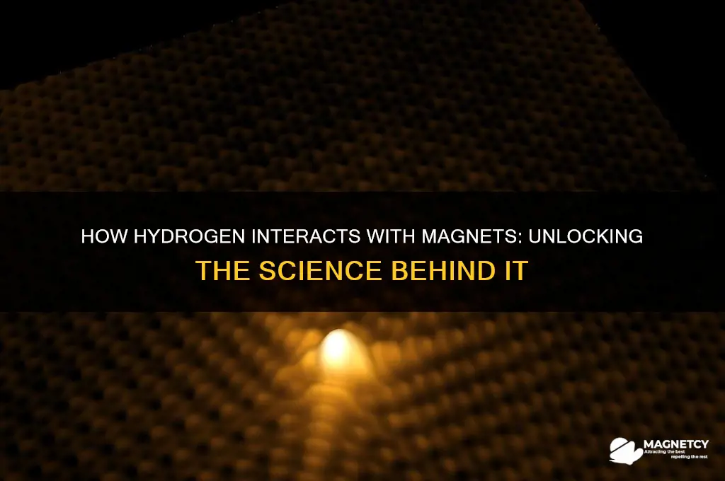 how do hydrogen use magnets