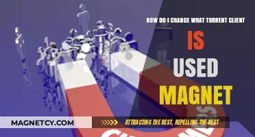 Switching Torrent Clients: How to Change Magnet Link Defaults Easily