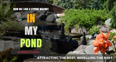 Using Cyprio Magnets in Ponds: A Step-by-Step Guide for Clarity