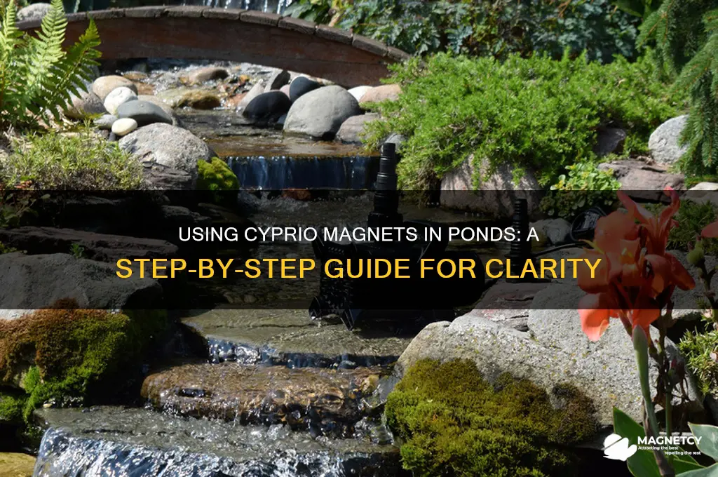 how do i use a cyprio magnet in my pond