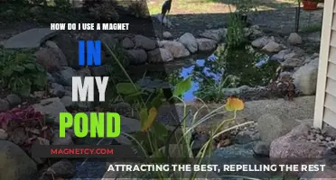 Using Magnets in Your Pond: Tips for Effective Maintenance and Benefits