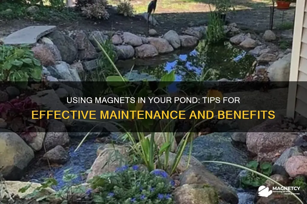 how do i use a magnet in my pond