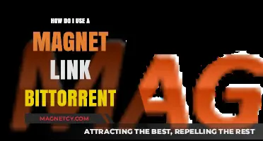 Mastering Magnet Links: A Beginner's Guide to BitTorrent Downloads