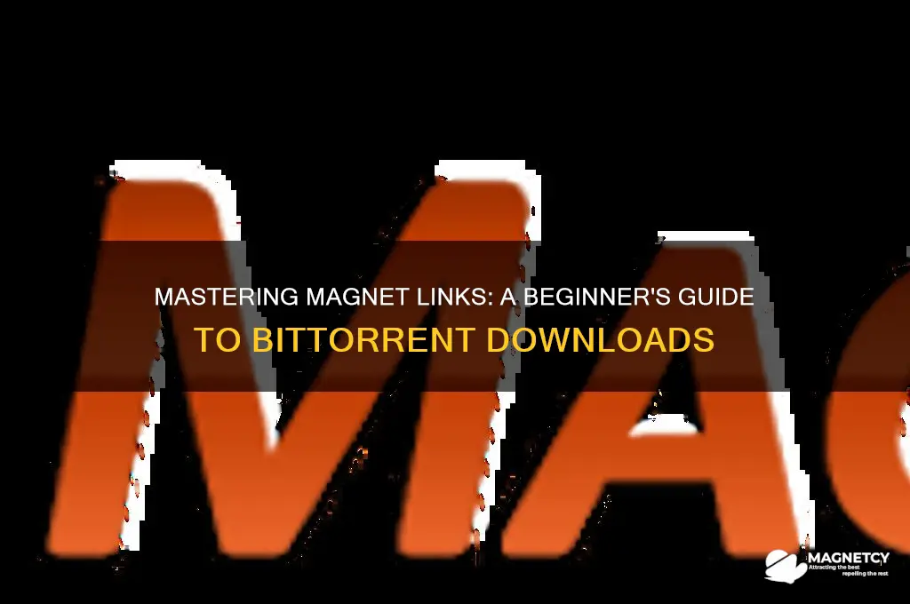 how do i use a magnet link bittorrent