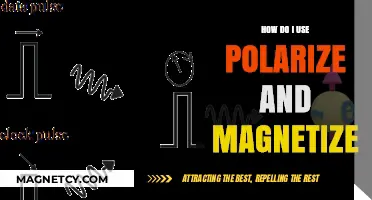 Mastering Polarization and Magnetization: Practical Techniques and Applications